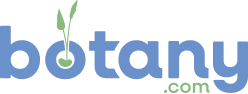 Botany.com logo